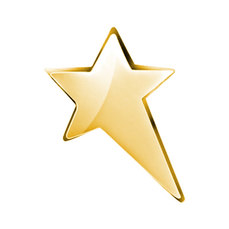 28-20ABS-103 Star Large Gold.jpg